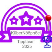 Küberturvalisuse test Kübernööpnõel 2025 koolide 1.-6. klasside õpilastele